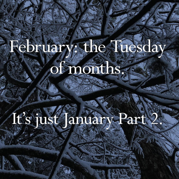 Disappointing Affirmations: 2027 Wall Calendar
