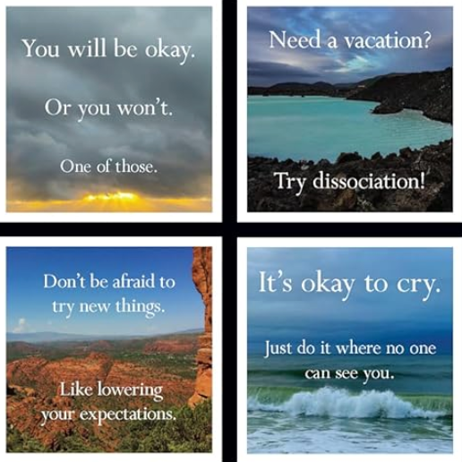 Disappointing Affirmations: 2027 Wall Calendar