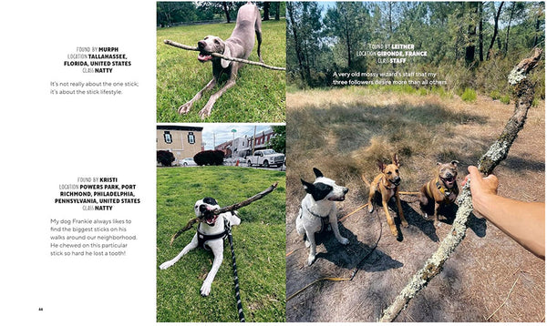 Sticks: A Collection of Sticks & the People Who Love Them