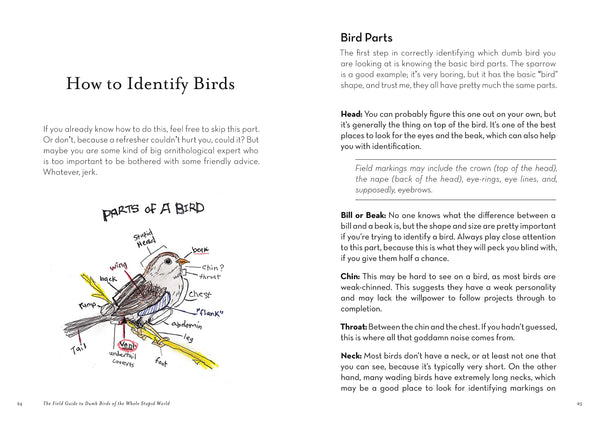 The Field Guide to Dumb Birds of the Whole Stupid World