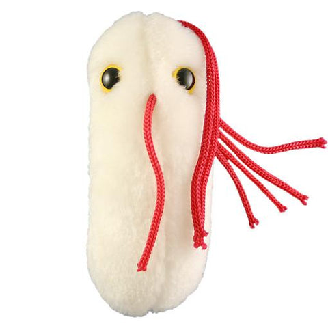 Salmonella - Giant Microbe